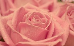 了解失眠诱因，做个明白