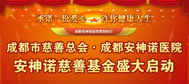 成都棕南慈善基金