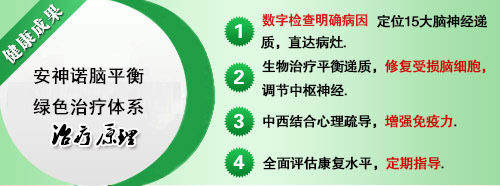 成都棕南精神疾病疗法