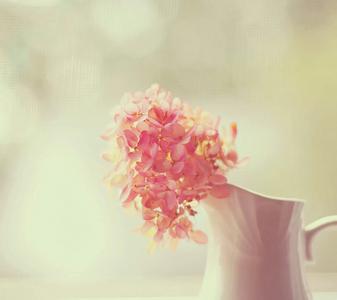 成都棕南精神疾病研究院