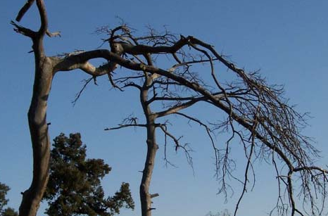 成都精神病医院成都棕南精神医院