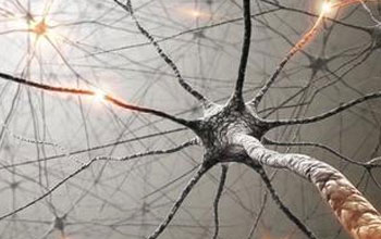 成都治植物神经紊乱多少钱