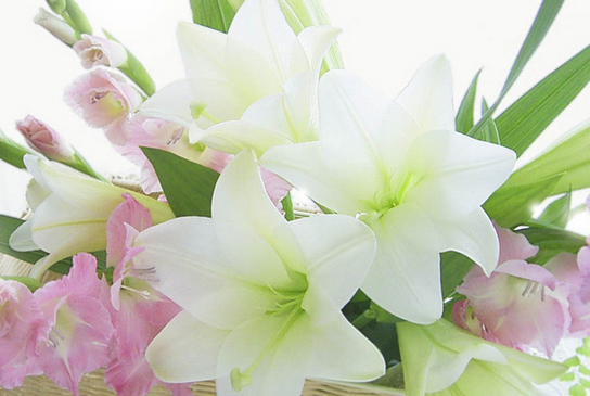 成都精神病医院成都棕南精神疾病研究院