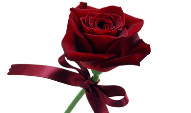 成都精神病医院成都棕南精神疾病研究院