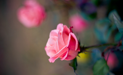 成都棕南精神疾病研究院焦虑症