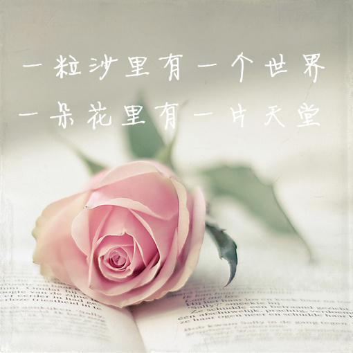 成都棕南精神疾病研究院