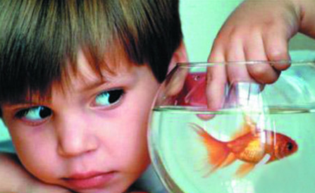 成都棕南精神疾病研究院