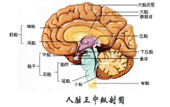成都棕南精神疾病研究院精神科