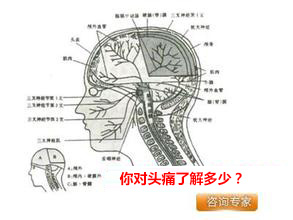 长期头痛的原因主要有哪些