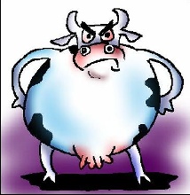 躁狂症有哪些主要特征