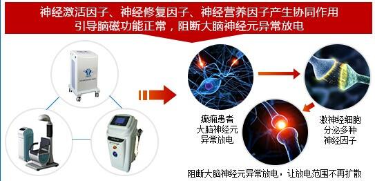靶向介入神经元修复疗法睡眠康复工程指定技术